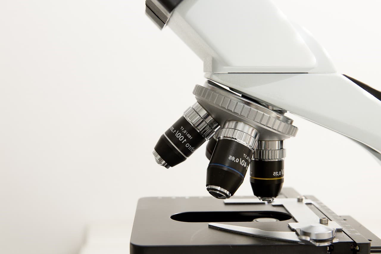 naturheilkunde-praxis-maureen-liebschner-zuerich-dunkelfeldmikroskopie-vitalblutanalyse